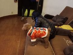 -金悦足道(宝岗大道店)