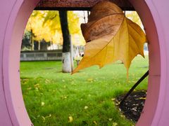 -重庆市江北嘴中央商务区中央公园