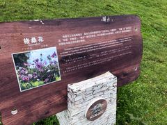 -硗碛藏寨·神木垒景区