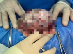 -美联众合动物医院·24h转诊中心