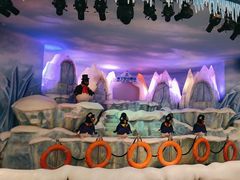 -帝企鹅自助餐厅•儿童岛•真企鹅(长隆企鹅酒店)