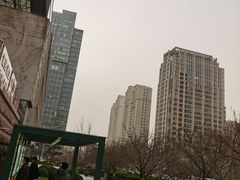-青岛市图书馆