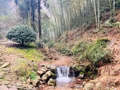 -仙霞关景区
