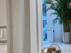 -YCHL Studios健身工作室(市二宫店)
