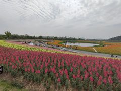 -径山花海
