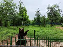 -秦皇岛野生动物园