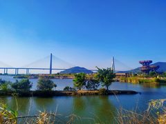 -芒洲湿地公园