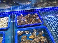 水产区-必点海鲜·鲅鱼水饺(鞍山西道店)