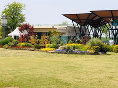 门面-上海长兴岛郊野公园