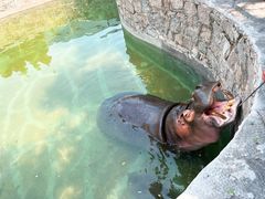 -青岛森林野生动物世界