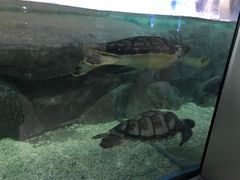 -福州罗源湾海洋世界旅游区