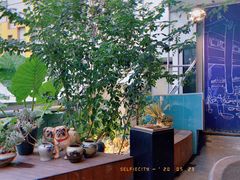 -财神鸡煲(华强北店)