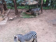 -昆明动物园