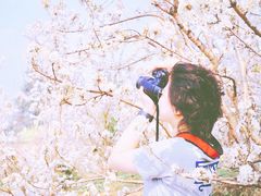 -樱桃山旅游景区
