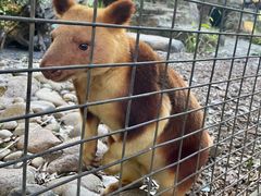 -费瑟代尔野生动物园