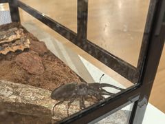 -上海昆虫博物馆