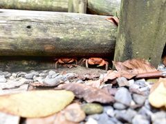 -南紀白浜 浜千鳥の湯 海舟