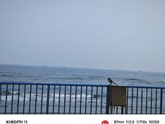 -南戴河国际娱乐中心