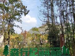 -东平国家森林公园