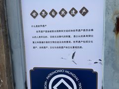 -盐城丹顶鹤湿地生态旅游区