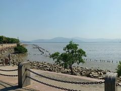 -福田红树林生态公园