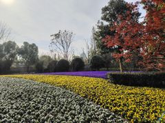 -龙华烈士纪念馆-停车场