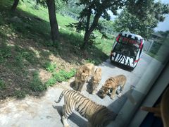 -西安秦岭野生动物园