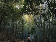 -敬亭山风景名胜区