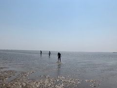 -刘家湾赶海园