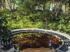 -苏州湾·王焰温泉