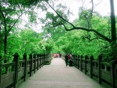 -南山植物园