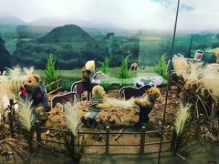 -济州岛泰迪熊博物馆