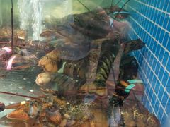 -范饭椰林川湘味海鲜·椰子鸡(三亚湾椰梦长廊店)