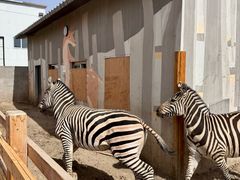 -水上乐园·欢乐世界