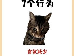 -博特宠物医院24h犬猫全科.骨科·异宠