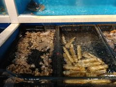-盒马渔市(平高企业集团·平高广场店)