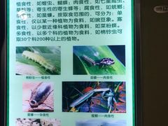 -上海昆虫博物馆