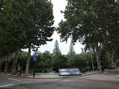 -山东大学(洪家楼校区)