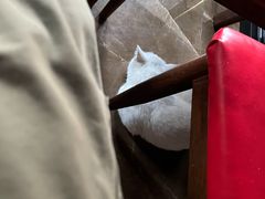-二毛馕坑肉饭店