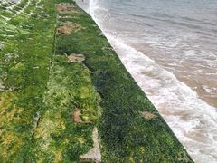 -日照灯塔风景区