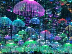 -天津梵高星空艺术馆(天河城旗舰店)