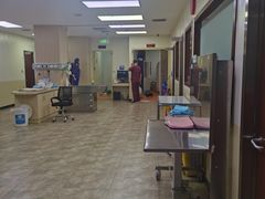 -美联众合动物医院·24h转诊中心