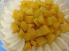 -维尔纳斯·生日蛋糕·动物奶油冰淇淋蛋糕(六里桥店)