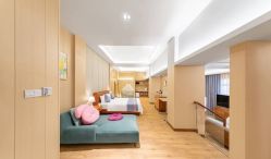 -爱弥儿月子中心(省医院店)