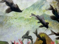 -常州海昌海洋探索馆
