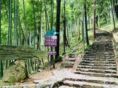 -莫干山风景区