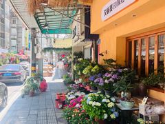 -溪岸路花鸟市场