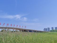 -西安浐灞国家湿地公园