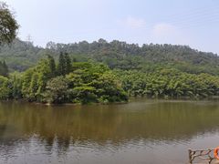 -滴水岩森林公园