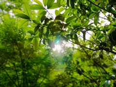 -宏善康享苑颐养中心